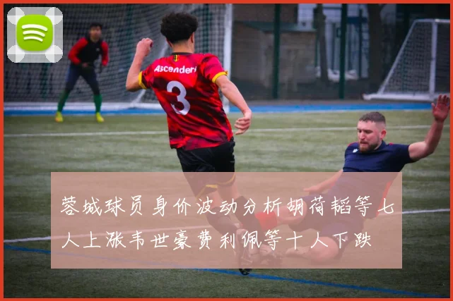 蓉城球员身价波动分析胡荷韬等七人上涨韦世豪费利佩等十人下跌